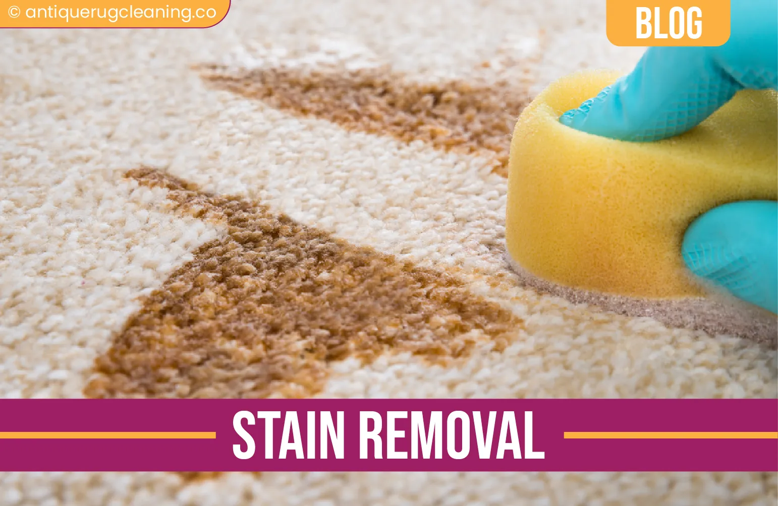 carpet cleaning in new york, carpet cleaning new york, carpet cleaners in new york, carpet cleaners in ny, commercial carpet cleaning, commercial carpet cleaning in ny, ny rug cleaners, rug cleaning services in new york, same day carpet cleaning, same day rug cleaning in ny