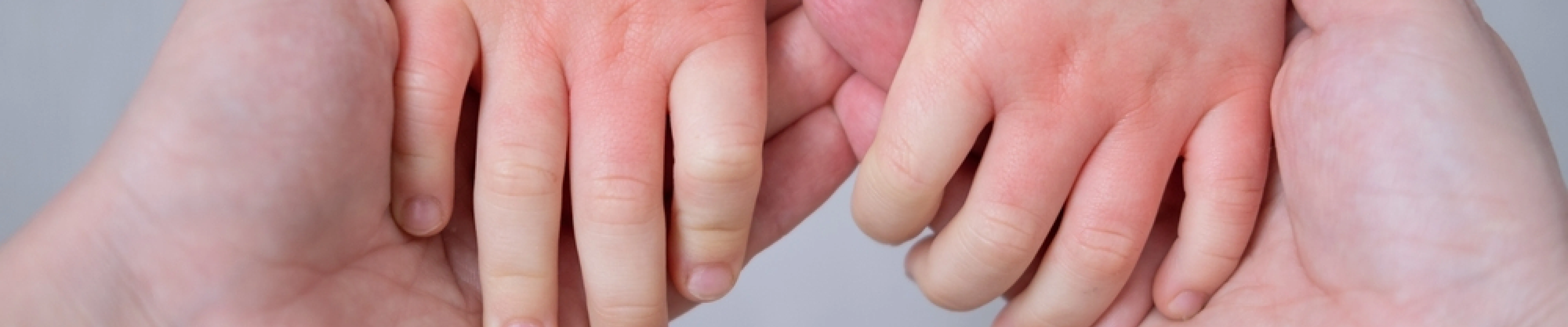 carpet cleaning in new york, carpet cleaning new york, carpet cleaners in new york, carpet cleaners in ny, commercial carpet cleaning, commercial carpet cleaning in ny, ny rug cleaners, rug cleaning services in new york, same day carpet cleaning, same day rug cleaning in ny