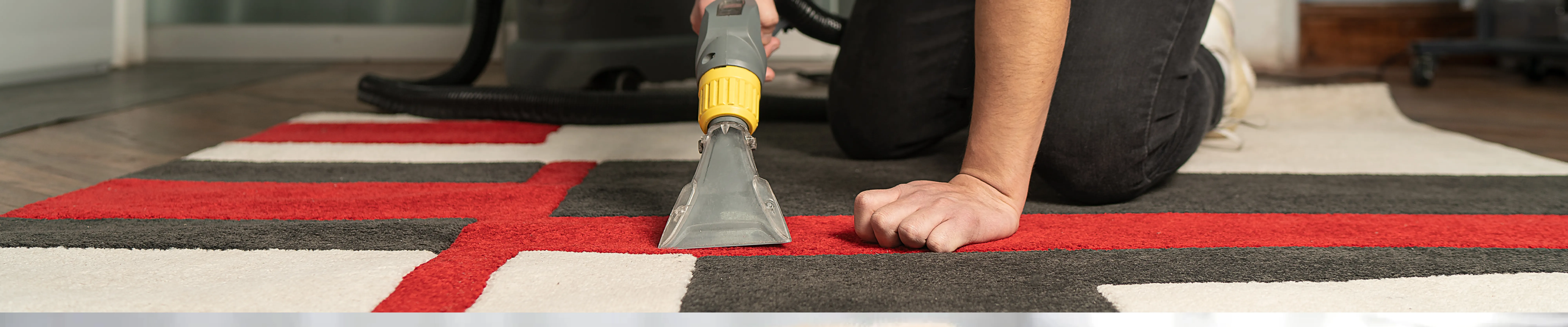 carpet cleaning in new york, carpet cleaning new york, carpet cleaners in new york, carpet cleaners in ny, commercial carpet cleaning, commercial carpet cleaning in ny, ny rug cleaners, rug cleaning services in new york, same day carpet cleaning, same day rug cleaning in ny