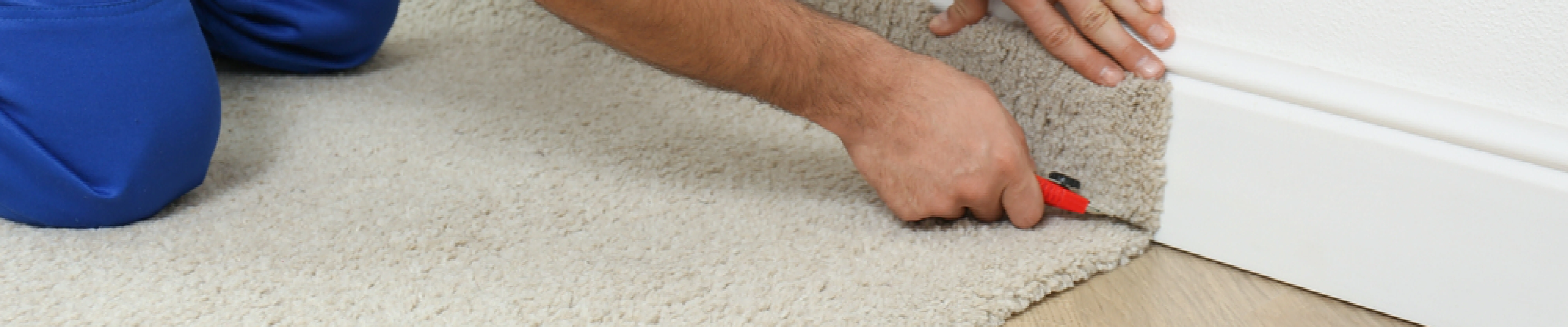 carpet cleaning in new york, carpet cleaning new york, carpet cleaners in new york, carpet cleaners in ny, commercial carpet cleaning, commercial carpet cleaning in ny, ny rug cleaners, rug cleaning services in new york, same day carpet cleaning, same day rug cleaning in ny
