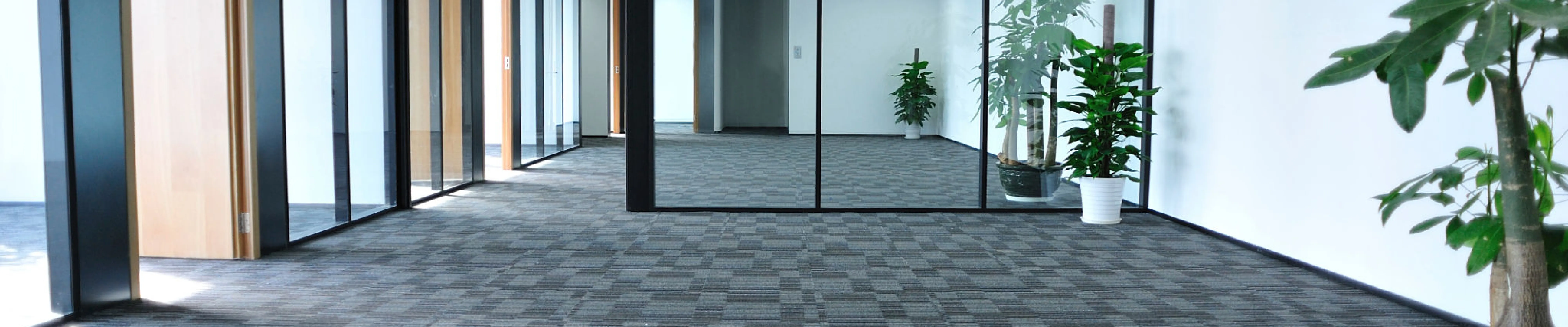 carpet cleaning in new york, carpet cleaning new york, carpet cleaners in new york, carpet cleaners in ny, commercial carpet cleaning, commercial carpet cleaning in ny, ny rug cleaners, rug cleaning services in new york, same day carpet cleaning, same day rug cleaning in ny