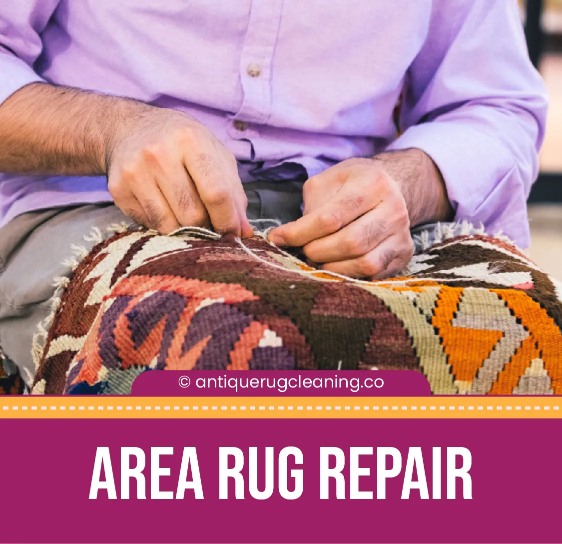 carpet cleaning in new york, carpet cleaning new york, carpet cleaners in new york, carpet cleaners in ny, commercial carpet cleaning, commercial carpet cleaning in ny, ny rug cleaners, rug cleaning services in new york, same day carpet cleaning, same day rug cleaning in ny