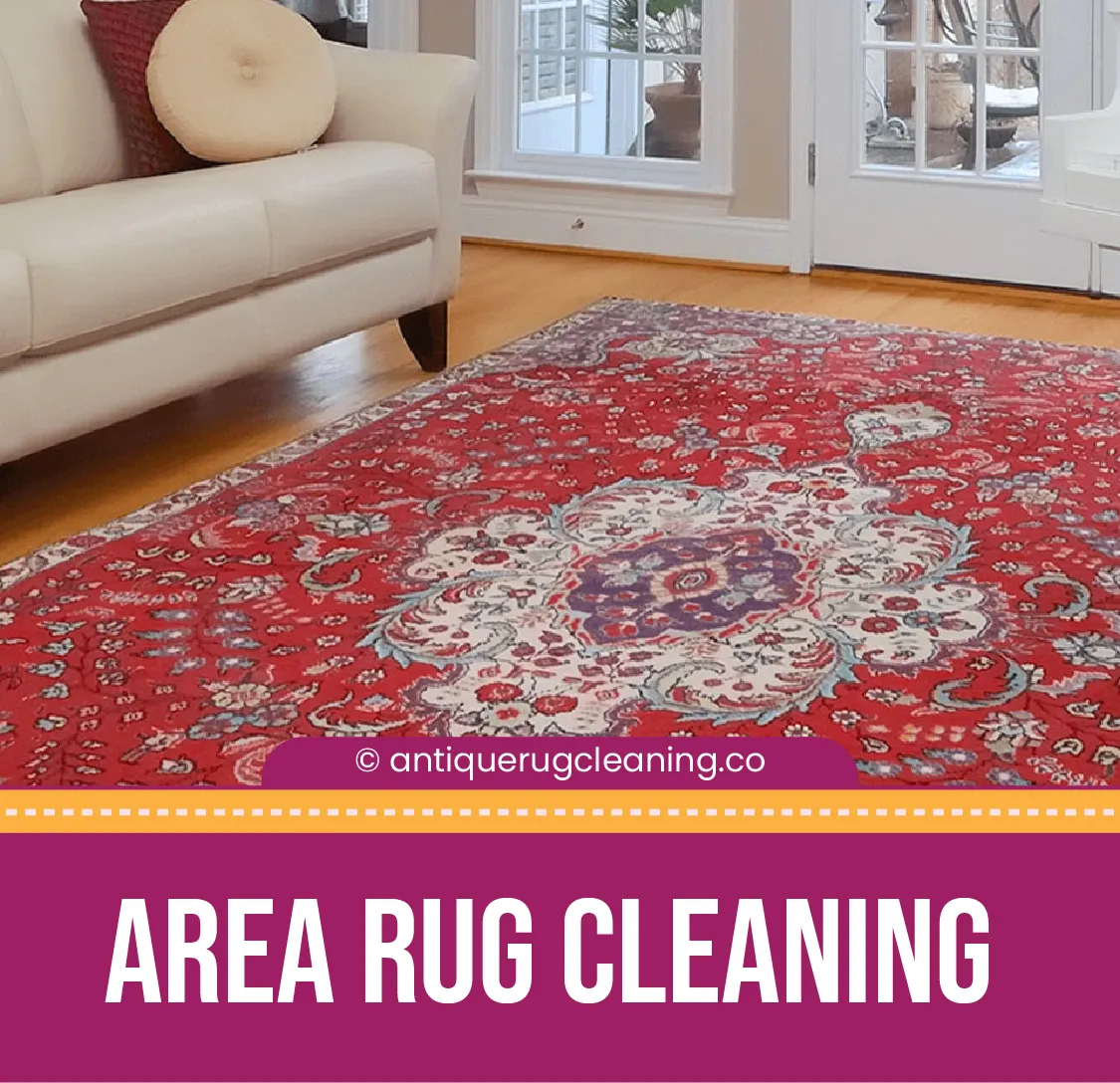 carpet cleaning in new york, carpet cleaning new york, carpet cleaners in new york, carpet cleaners in ny, commercial carpet cleaning, commercial carpet cleaning in ny, ny rug cleaners, rug cleaning services in new york, same day carpet cleaning, same day rug cleaning in ny