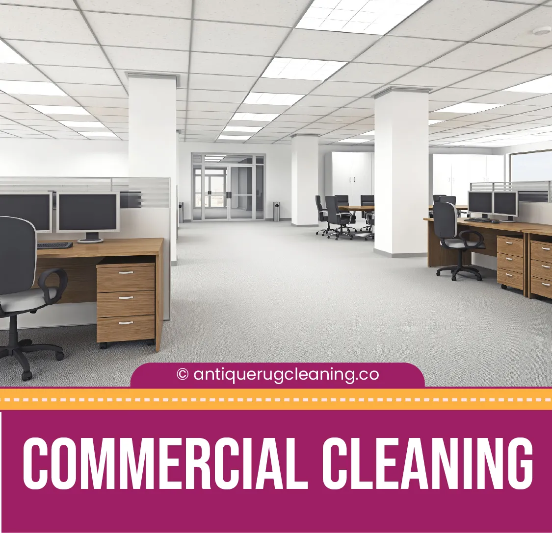 carpet cleaning in new york, carpet cleaning new york, carpet cleaners in new york, carpet cleaners in ny, commercial carpet cleaning, commercial carpet cleaning in ny, ny rug cleaners, rug cleaning services in new york, same day carpet cleaning, same day rug cleaning in ny
