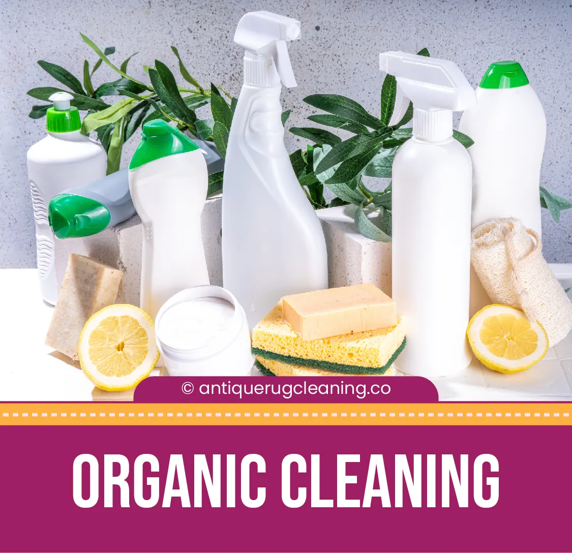 carpet cleaning in new york, carpet cleaning new york, carpet cleaners in new york, carpet cleaners in ny, commercial carpet cleaning, commercial carpet cleaning in ny, ny rug cleaners, rug cleaning services in new york, same day carpet cleaning, same day rug cleaning in ny